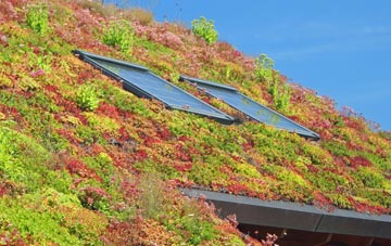 Hollington Cross living roof systems